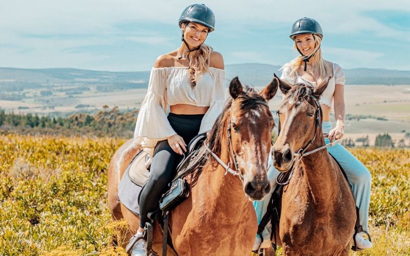 AfriCamps-StanfordHills-Horse